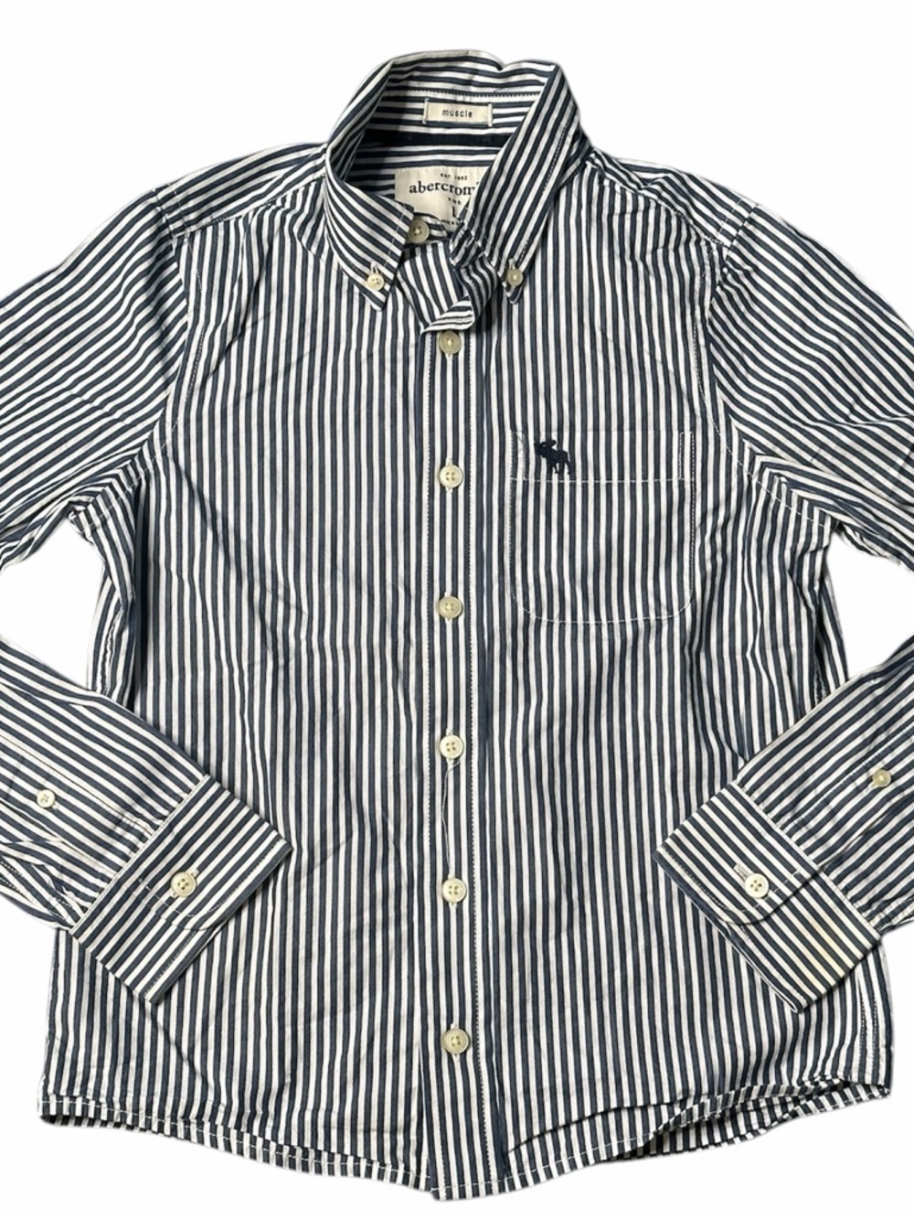 Abercrombie & Fitch Navy and White Vertical Stripe Button-Down Shirt